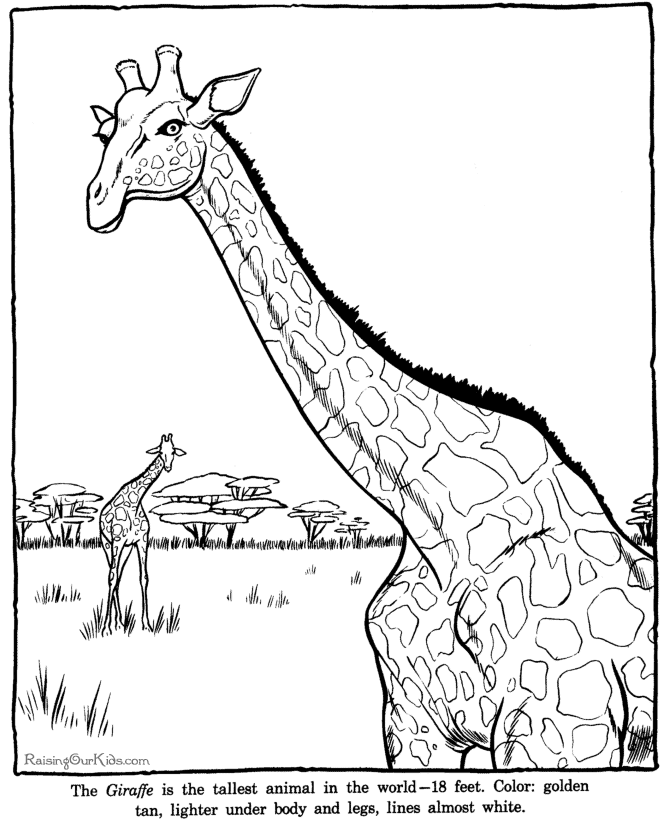 Dessin à colorier: Zoo (Animaux) #12741 - Coloriages à Imprimer Gratuits