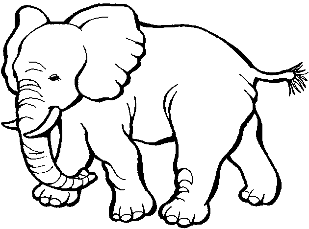 Dessin à colorier: Zoo (Animaux) #12787 - Coloriages à Imprimer Gratuits