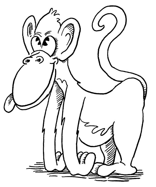 Dessin à colorier: Zoo (Animaux) #12802 - Coloriages à Imprimer Gratuits