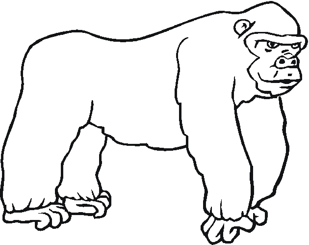 Dessin à colorier: Zoo (Animaux) #12813 - Coloriages à Imprimer Gratuits