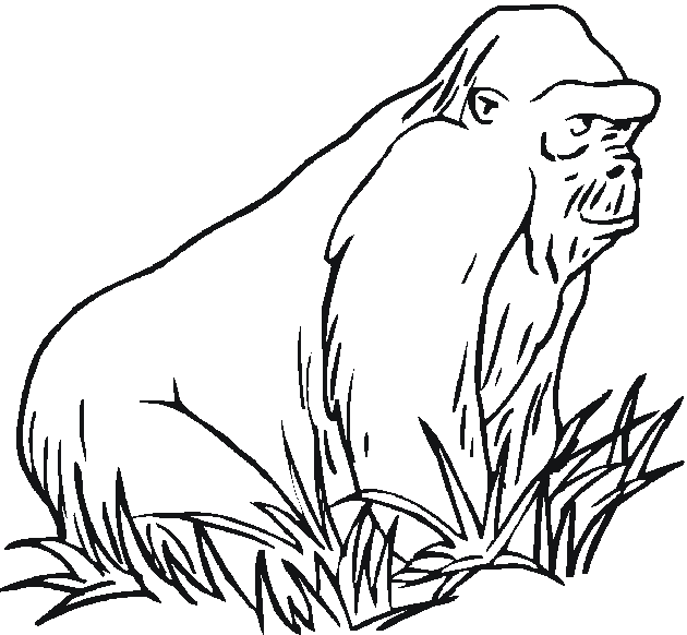 Dessin à colorier: Zoo (Animaux) #12819 - Coloriages à Imprimer Gratuits