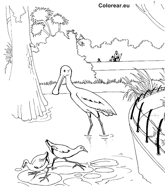 Dessin à colorier: Zoo (Animaux) #12833 - Coloriages à Imprimer Gratuits