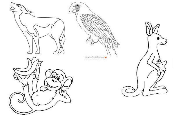 Dessin à colorier: Zoo (Animaux) #12839 - Coloriages à Imprimer Gratuits