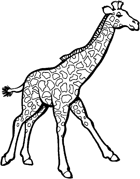 Dessin à colorier: Zoo (Animaux) #12841 - Coloriages à Imprimer Gratuits