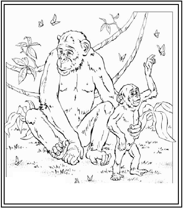 Dessin à colorier: Zoo (Animaux) #12851 - Coloriages à Imprimer Gratuits