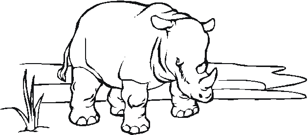 Dessin à colorier: Zoo (Animaux) #12855 - Coloriages à Imprimer Gratuits