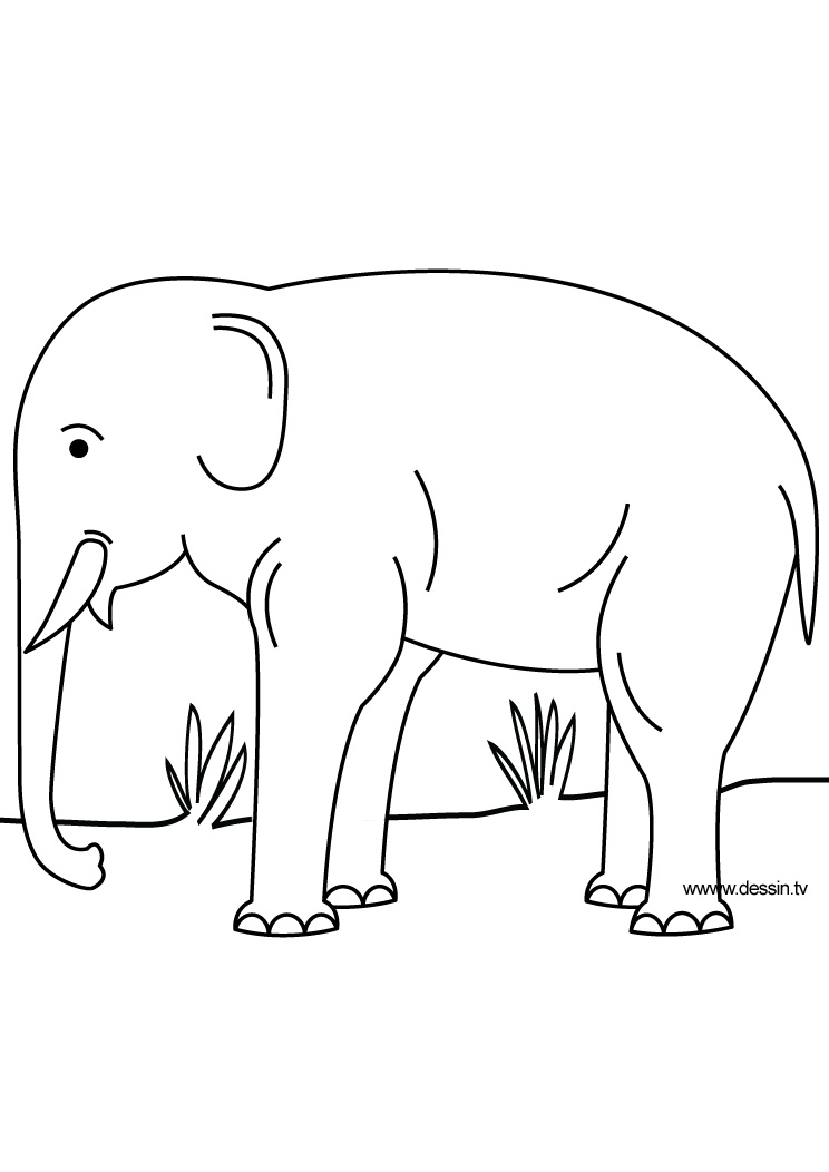 Dessin à colorier: Zoo (Animaux) #12878 - Coloriages à Imprimer Gratuits