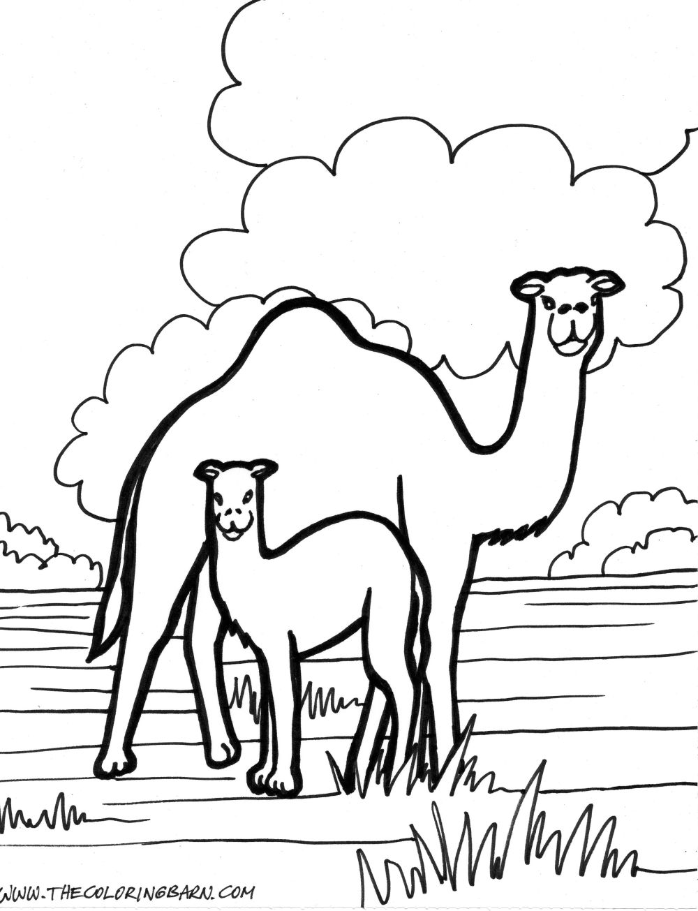 Dessin à colorier: Zoo (Animaux) #12885 - Coloriages à Imprimer Gratuits