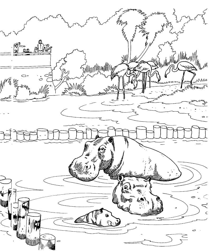Coloriage gratuit Zoo #201738 de la collection Animaux à imprimer