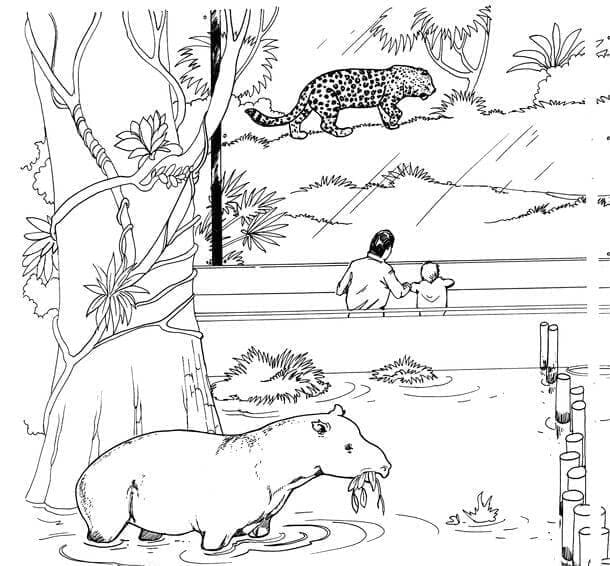 Coloriage gratuit pour enfants et adultes Zoo #201739, collection Animaux