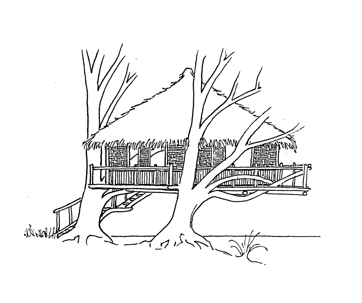 Dessin à colorier: Cabane dans un arbre (Bâtiments et Architecture) #66040 - Coloriages à Imprimer Gratuits