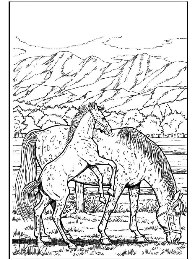 Coloriage gratuit Adulte Cheval #200366 de la collection Coloriage Adulte à imprimer