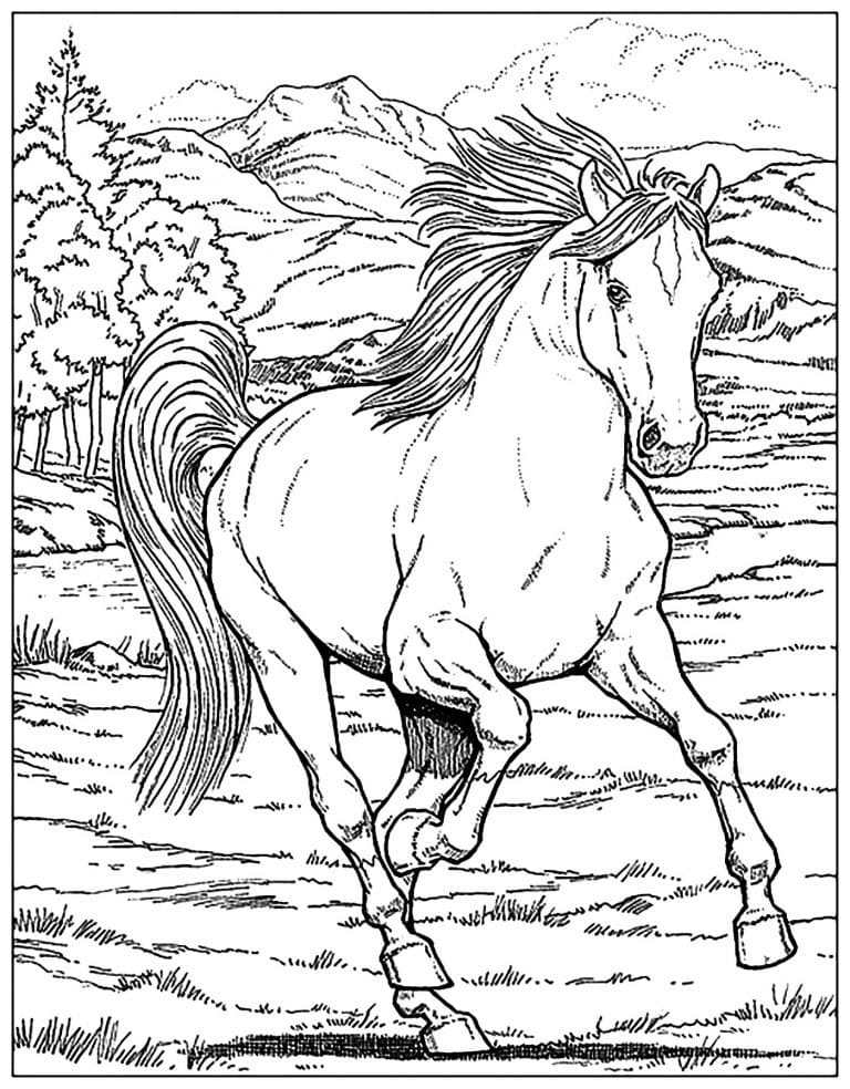 Coloriage gratuit Adulte Cheval #200369 de la collection Coloriage Adulte à imprimer