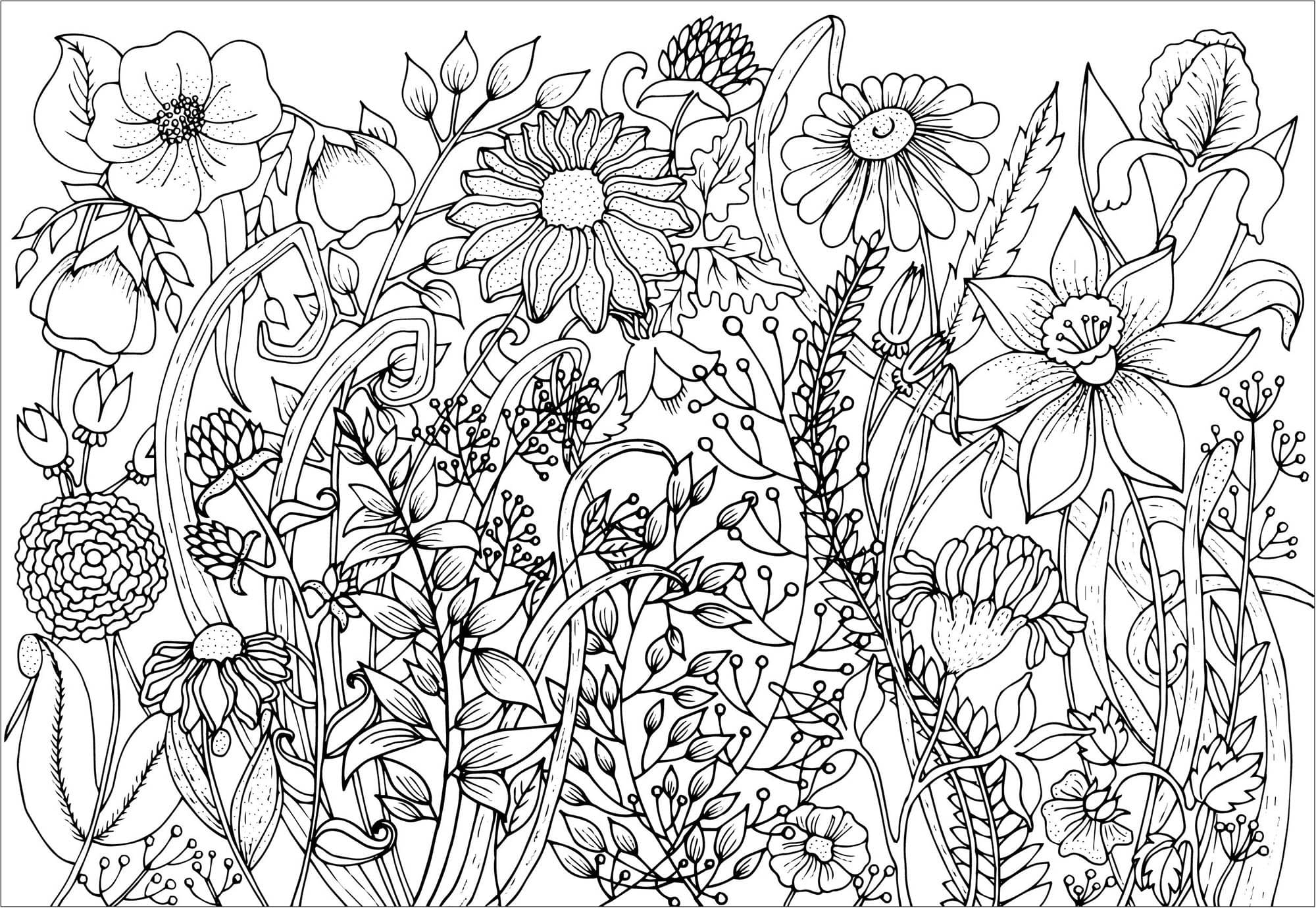 Coloriage gratuit Fleur Adulte #215558 de la collection Coloriage Adulte à imprimer