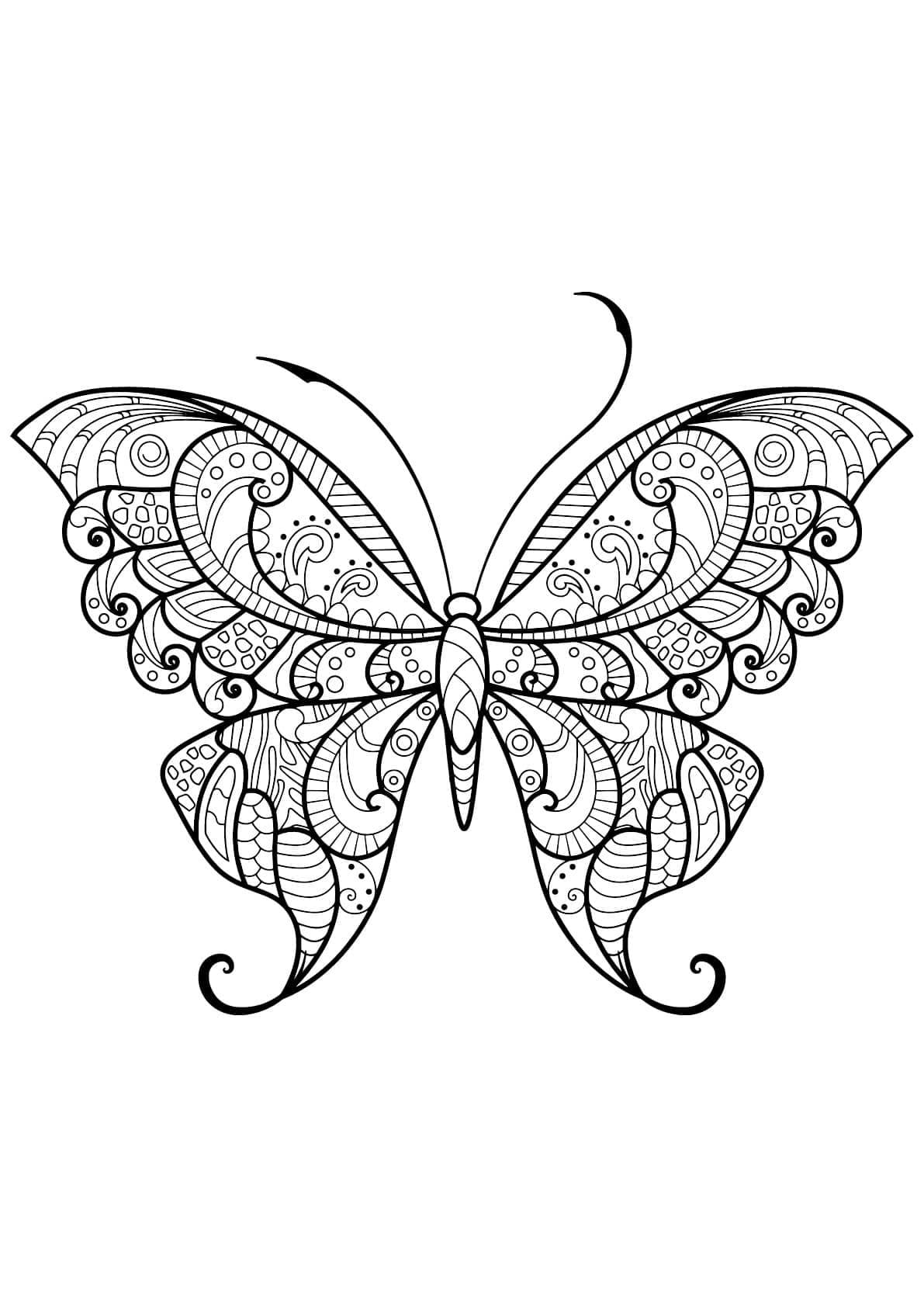 Coloriage gratuit Papillon Adulte #174335 de la collection Coloriage Adulte à imprimer