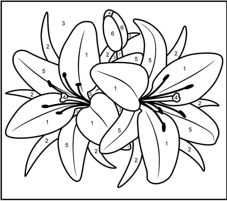 Dessin à colorier: Fleurs Coloriage par Numéro (Coloriage numéroté) #177987 - Coloriages à Imprimer Gratuits