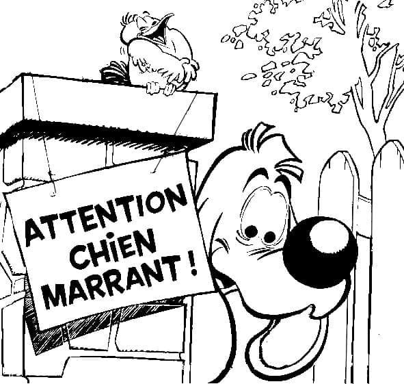 Illustration au trait Boule et Bill #183502 de la collection Dessins animés et séries animées à colorier gratuitement