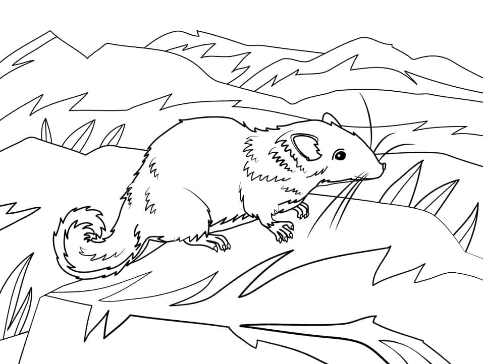 Dessin à colorier: Les Dalton (Dessins animés et séries animées) #209944 - Coloriages à Imprimer Gratuits