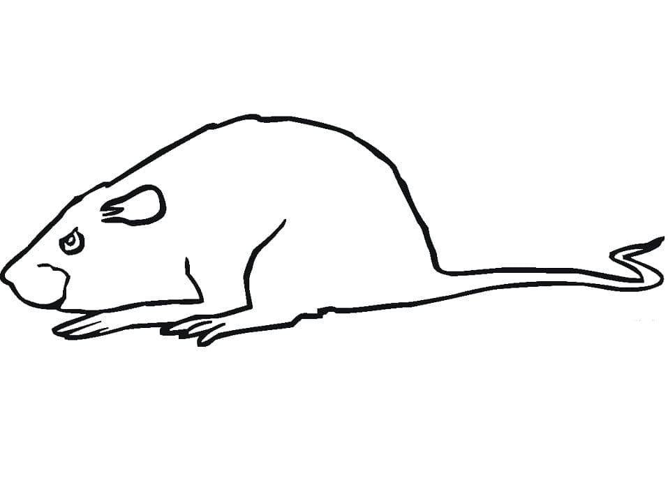 Dessin à colorier: Les Dalton (Dessins animés et séries animées) #209947 - Coloriages à Imprimer Gratuits