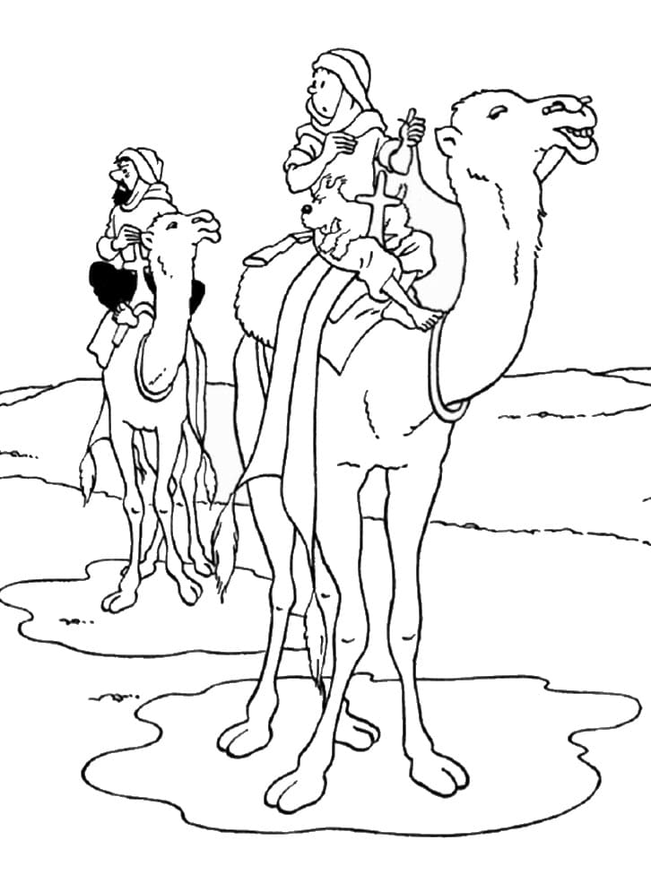 Coloriage imprimable Tintin #185983 de la collection Dessins animés et séries animées à colorier aux crayons Coloriage imprimable Tintin #185983 de la collection Dessins animés et séries animées à colorier aux crayons