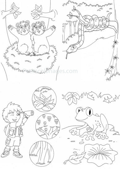 Dessin à colorier: Go Diego! (Dessins Animés) #48616 - Coloriages à Imprimer Gratuits