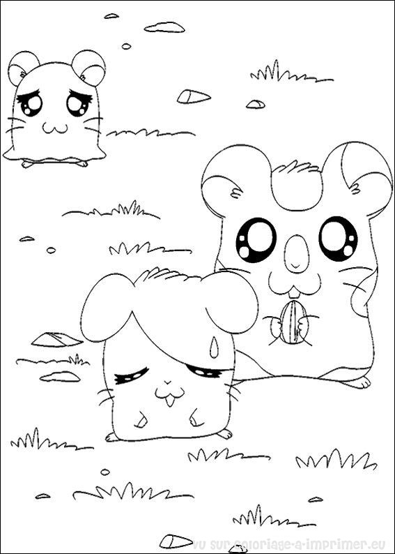 Dessin à colorier: Hamtaro (Dessins Animés) #40188 - Coloriages à Imprimer Gratuits