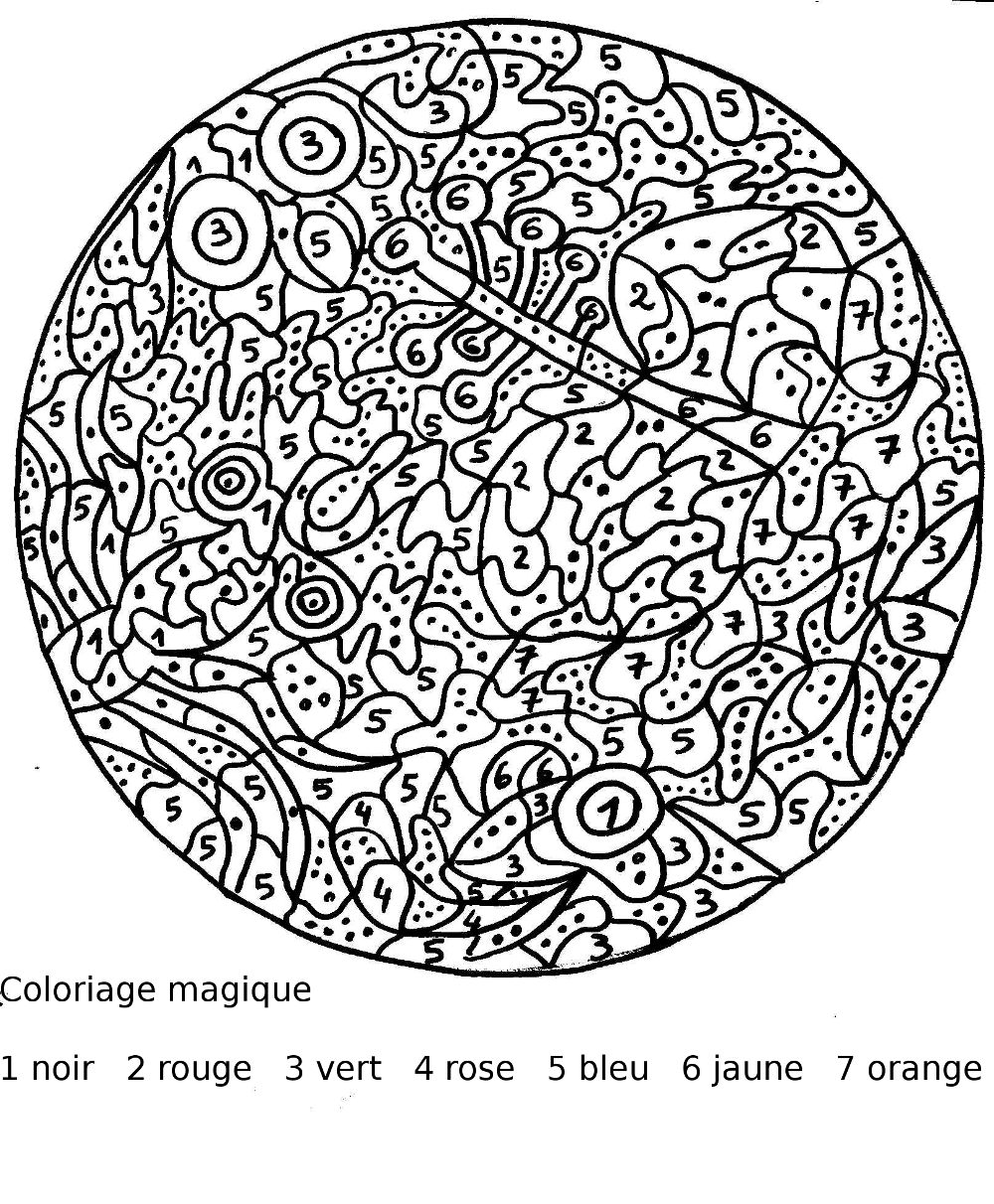 Dessin à colorier: Coloriage magique (Éducatifs) #126110 - Coloriages à Imprimer Gratuits