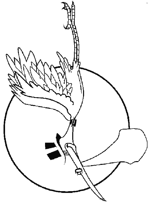 Coloriage gratuit Naissance #55559 de la collection Fêtes et Célébrations à imprimer