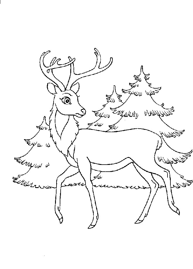 Dessin à colorier: Bambi (Films d'animation) #128542 - Coloriages à Imprimer Gratuits