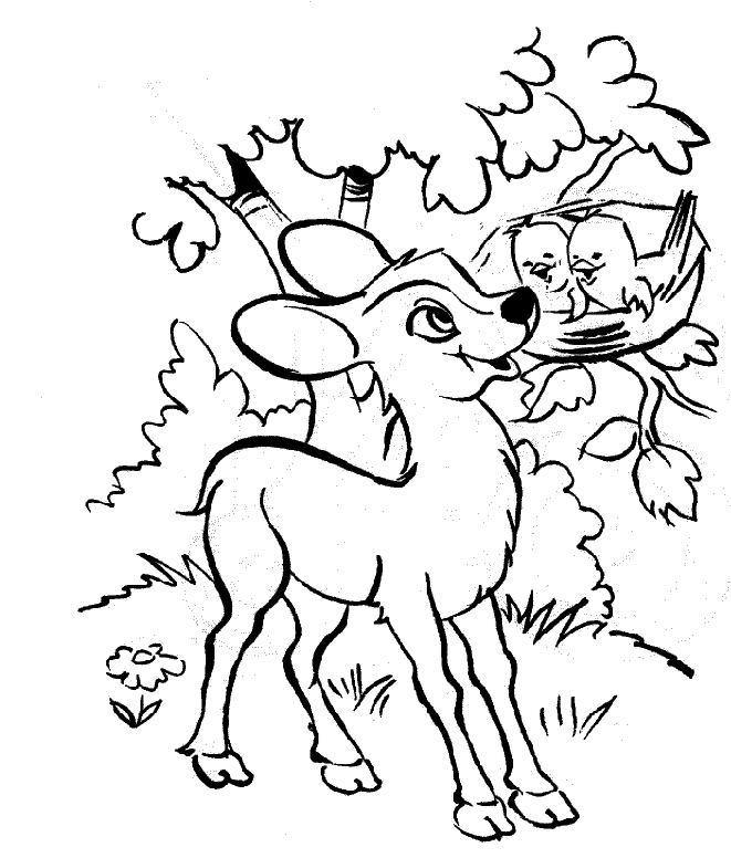 Dessin à colorier: Bambi (Films d'animation) #128566 - Coloriages à Imprimer Gratuits