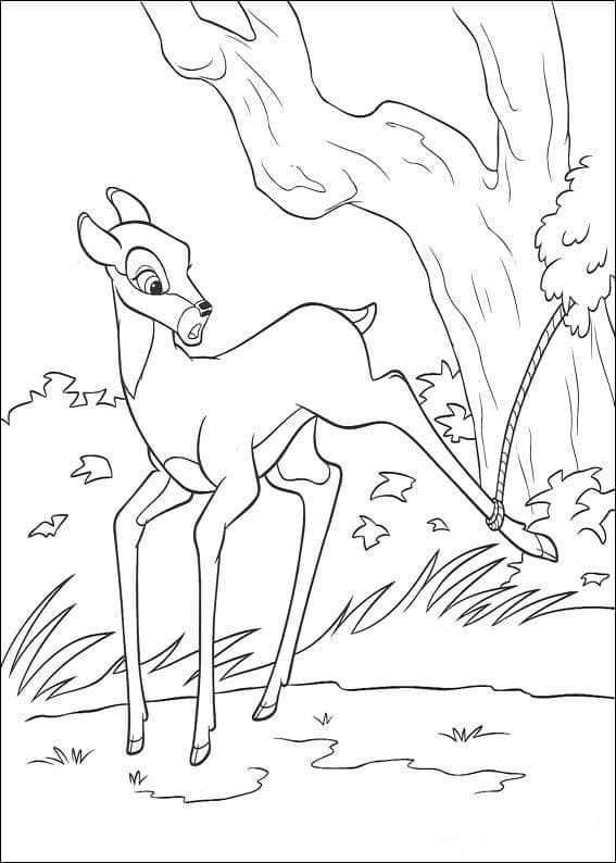 Coloriage gratuit Bambi #184663 de la collection Films d'Animation à imprimer