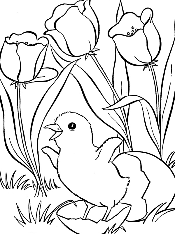 Dessin à colorier: Petit Poulet (Chicken Little) (Films d'animation) #73127 - Coloriages à Imprimer Gratuits