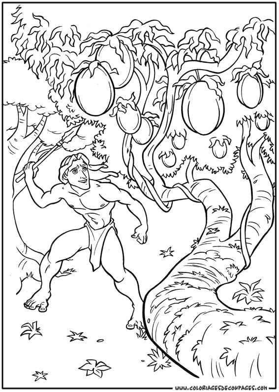 Dessin à colorier: Tarzan (Films d'animation) #131107 - Coloriages à Imprimer Gratuits