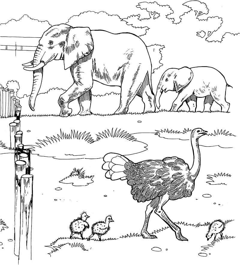 Dessin à colorier: Afrique (Géographie et Lieux) #193738 - Coloriages à Imprimer Gratuits