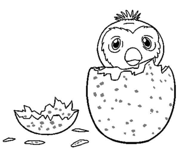 Dessin à colorier: Hatchimals (Jouets et Jeux) #196732 - Coloriages à Imprimer Gratuits
