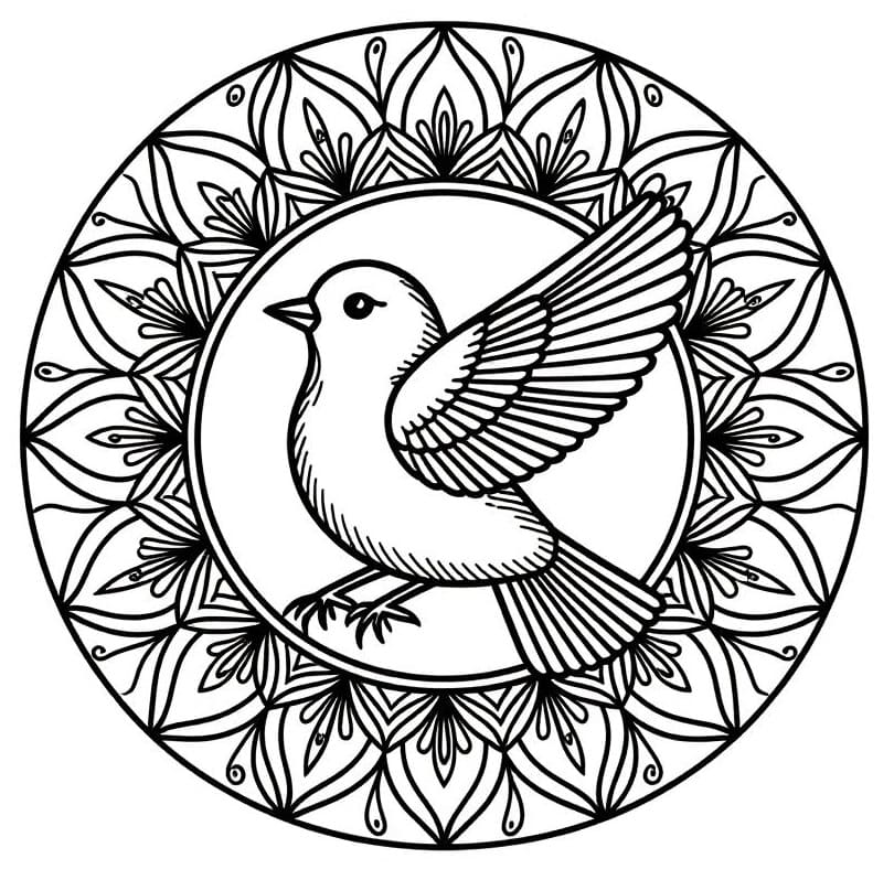Coloriage gratuit Mandala Oiseau #221967 de la collection Mandalas à imprimer