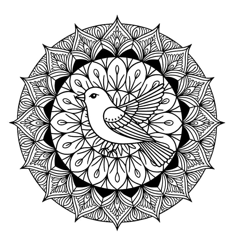 Coloriage gratuit Mandala Oiseau #221971 de la collection Mandalas à imprimer