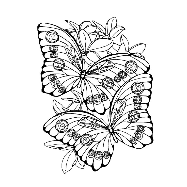 Dessin à colorier: Mandalas Papillon (Mandalas) #117423 - Coloriages à Imprimer Gratuits