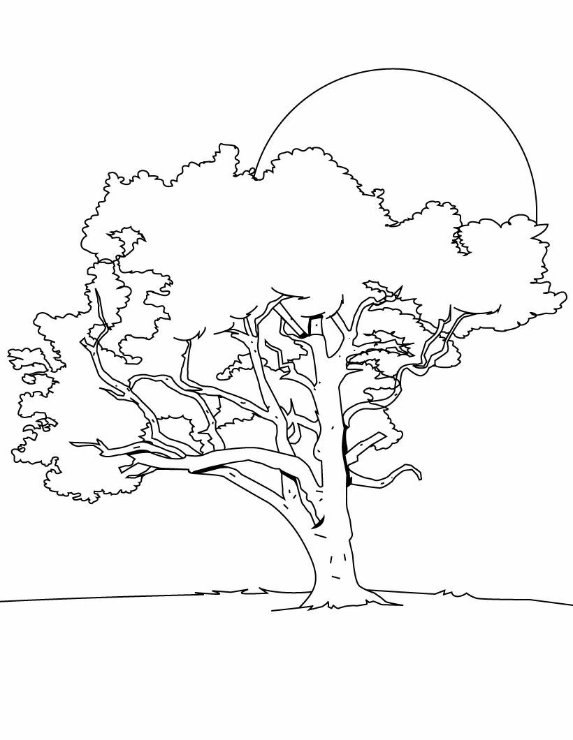 Coloriage gratuit Arbre #154677 de la collection Nature et saisons à imprimer