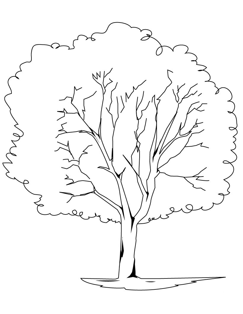 Coloriage gratuit Arbre #154693 de la collection Nature et saisons à imprimer