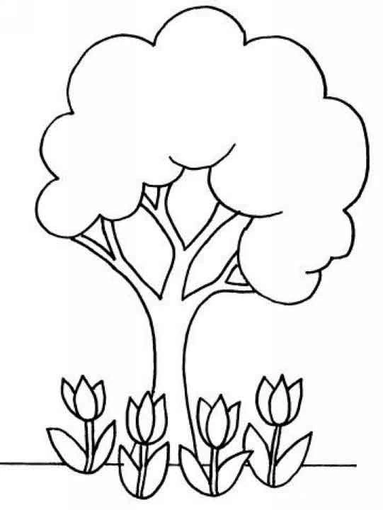 Coloriage gratuit Arbre #154698 de la collection Nature et saisons à imprimer
