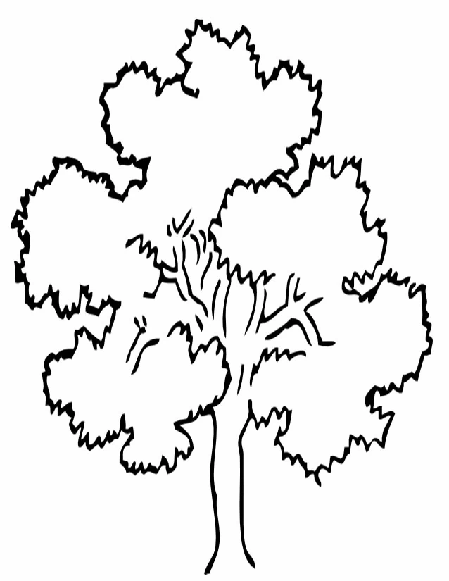 Coloriage gratuit Arbre #154701 de la collection Nature et saisons à imprimer