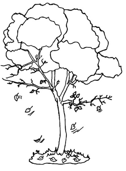 Coloriage gratuit Arbre #154720 de la collection Nature et saisons à imprimer
