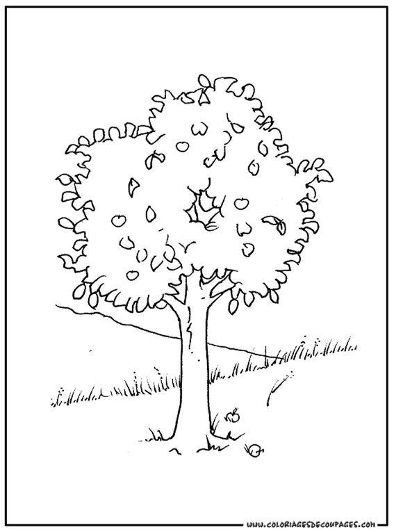 Coloriage gratuit Arbre #154804 de la collection Nature et saisons à imprimer