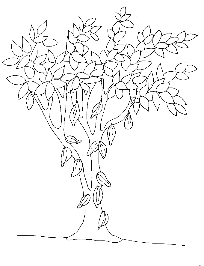 Coloriage gratuit Arbre #154928 de la collection Nature et saisons à imprimer