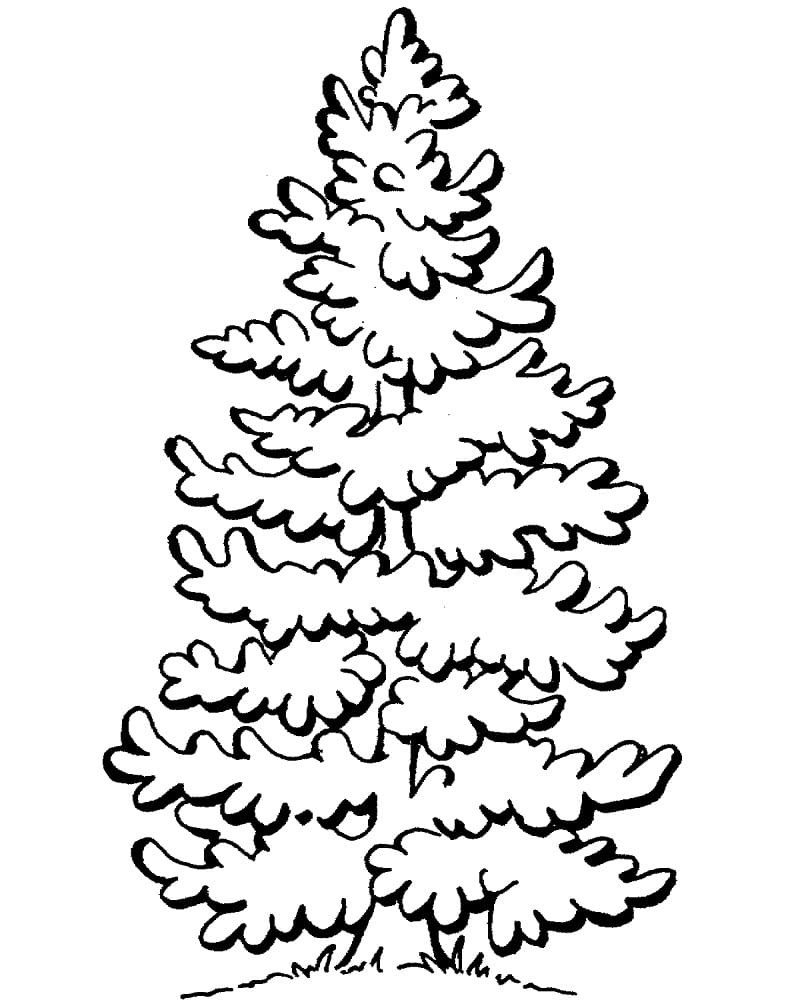 Dessin à colorier Arbre #190425 issu de la collection Nature et saisons, prêt à imprimer