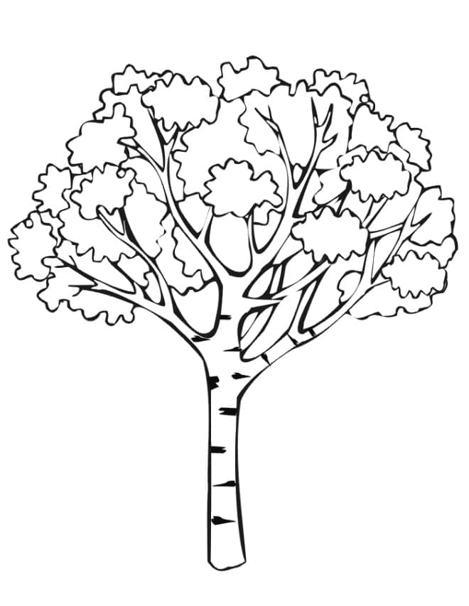 Illustration au trait Arbre #190471 de la collection Nature et saisons à colorier gratuitement Illustration au trait Arbre #190471 de la collection Nature et saisons à colorier gratuitement