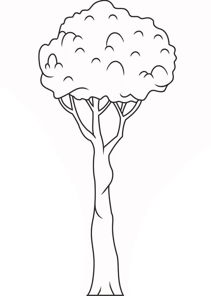 Coloriage gratuit Arbre #190481 de la collection Nature et saisons à imprimer