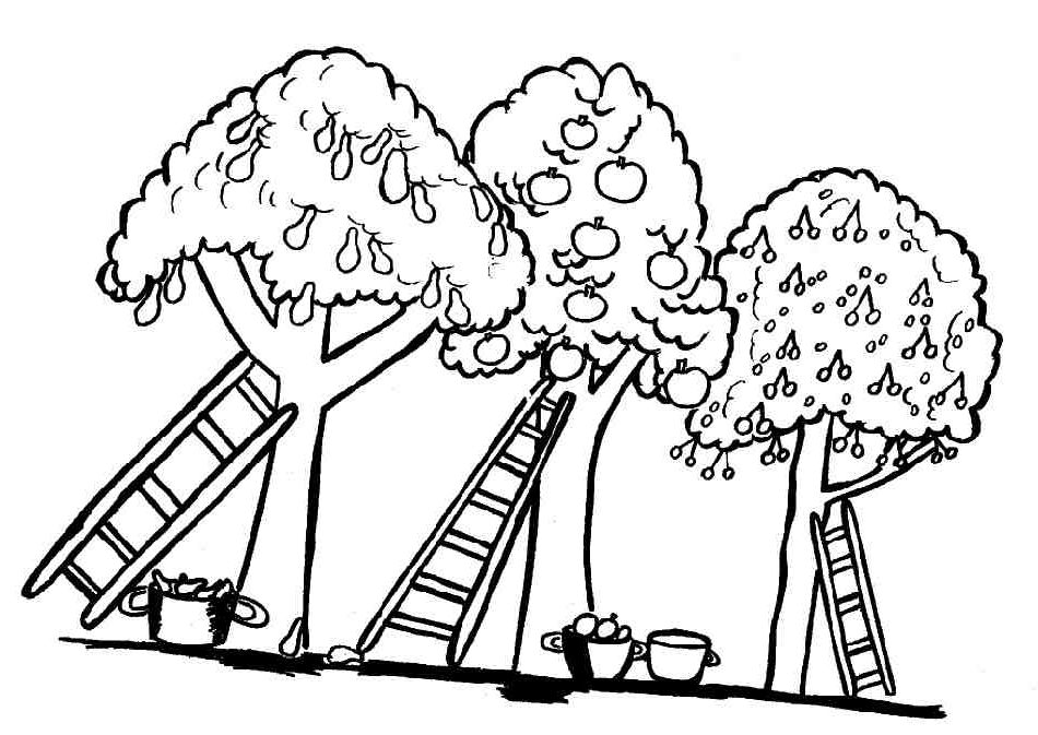 Dessin à colorier Campagne #165460 issu de la collection Nature et saisons, prêt à imprimer