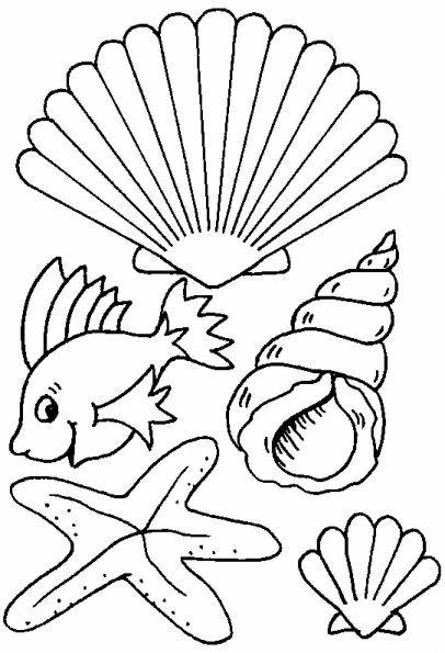 Dessin à colorier: Coquillage (Nature et saisons) #163138 - Coloriages à Imprimer Gratuits